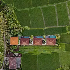 Airsania Antique , Ubud (Bali) Indonesia